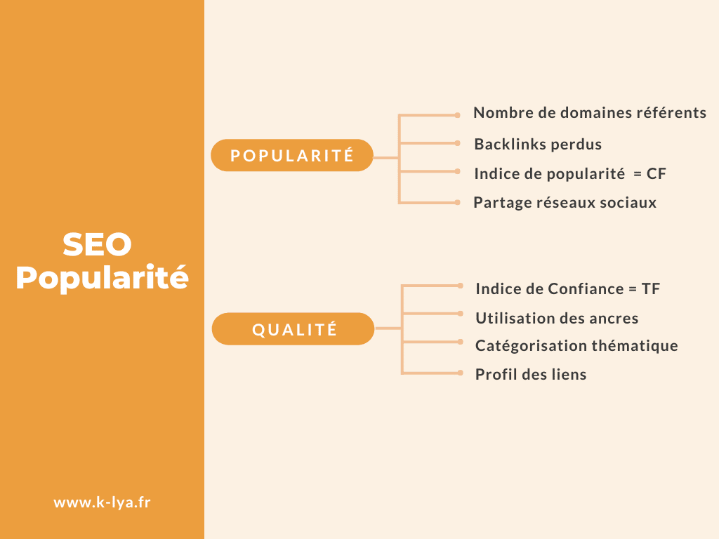 audit-seo-popularite